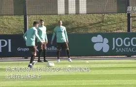 平博-2006年世界杯意大利vs澳大利亚